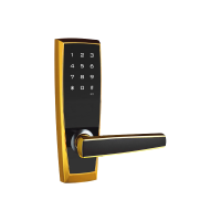 Khóa Điện Tử Đức Cho Cửa Đố Nhỏ M116E98C Vàng NEWNEO