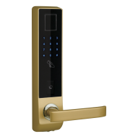 Khóa Điện Tử Đức Tích Hợp Chuông Cửa LS 8028 FMT Vàng NEWNEO